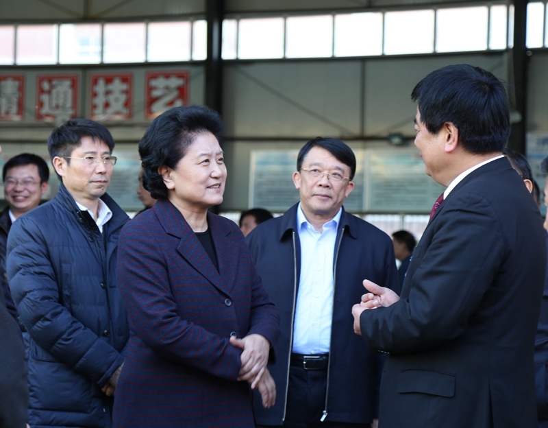 中共中央政治局委員、國務(wù)院副總理劉延?xùn)|在教育部副部長(zhǎng)朱之文，四川省教育廳廳長(zhǎng)朱世宏等陪同下視察四川應(yīng)用技術(shù)職業(yè)學(xué)院_副本.jpg